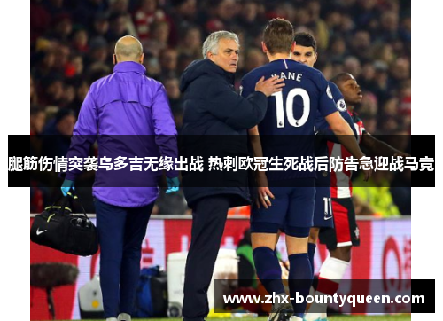 腿筋伤情突袭乌多吉无缘出战 热刺欧冠生死战后防告急迎战马竞 腿筋伤情突袭乌多吉无缘出战 热刺欧冠生死战后防告急迎战马竞